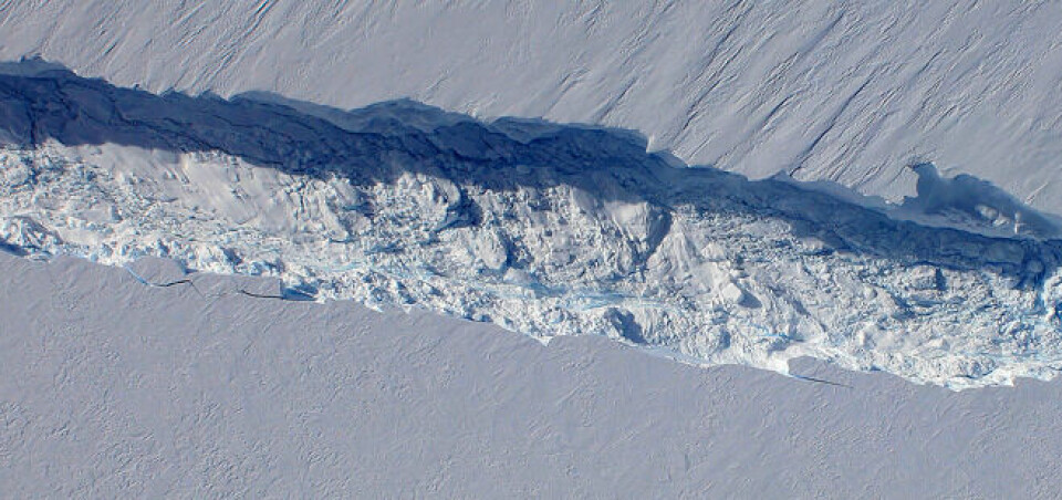 Et gigantisk isbjerg på 50 meter i dybden og strækker sig 30 kilometer hen over gletsjeren Pine Island på klodens iskolde sydkontinent er ved at rive sig løs. Foto: Nasa.gov