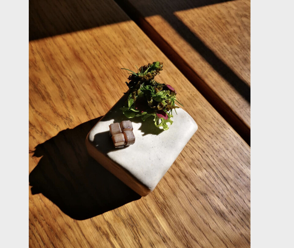 På billedet ses den første ret på menuen hos KOKS i Ilimanaq. Mattak med en buket af grønt fra Greenlandic Greenhouse.