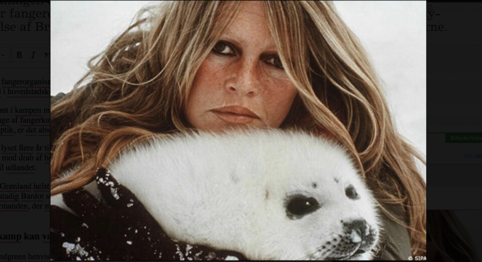 Brigitte Bardot hives frem som skrækeksemplet på, hvilken skade den italienske skuespiller fik for sælskinds-eksporten. Og en hvalfredning er startskuddet til en ny kampagne rettet mod hvaler, mener KNAPK.
