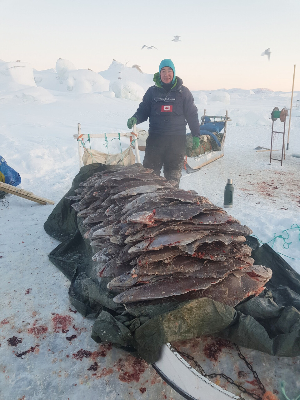 - Der er grund til bekymring for fiskeriet udvikling, og den nuværende forvaltningsform indebærer formentlig høj risiko for markant forværring af fiskeriforhold for jollesegmentet, siger Kaaleeraq Mathæussen, som er formand for jollefiskerforeningen, der er en underafdeling af fisker- og fangerforeningen IAPP i Ilulissat.