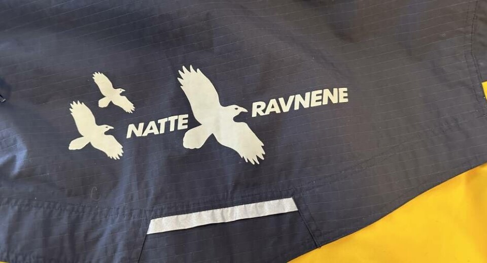 Ingen interesse for Natteravne i Sisimiut
