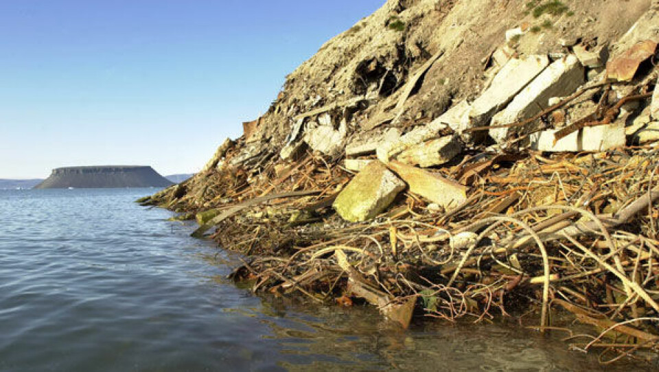Foto: Nick Cobbing/ Greenpeace