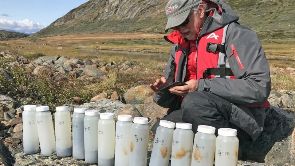 Det nye studie udmærker sig ved at bygge på prøver, der er indsamlet lige der, hvor nordboerne har levet. Her ses sø-sediment-prøverne, der er opsamlet fra en sø.