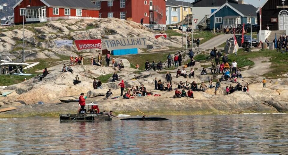 I dag slutter den ugelange GM i Qajaq som blev afholdt i Ilulissat. Inden afslutningen blev det besluttet at næste års GM i Qajaq bliver afholdt i Qaqortoq.