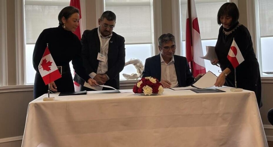 Hensigtserklæring: Blus på samarbejde mellem Grønland og Canada om Pikialasorsuaq