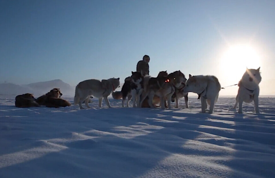 Visit Greenland viser ansigt ude i verden