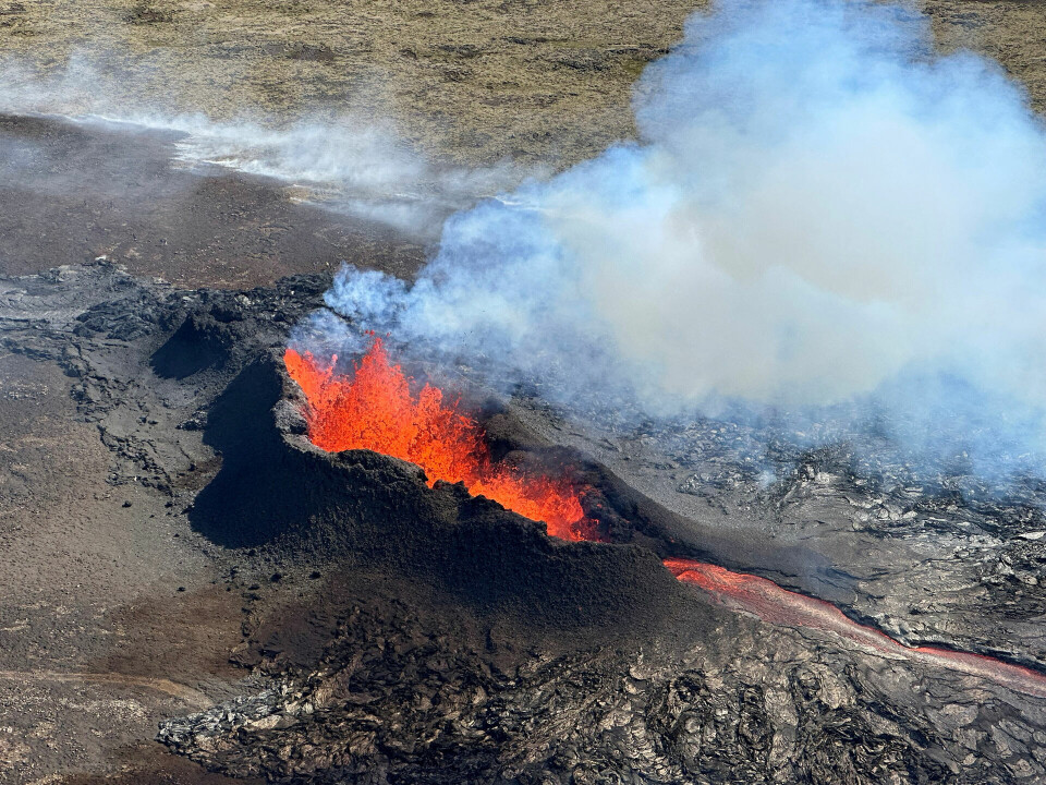 Island ligger mellem to tektoniske plader - den eurasiske og den nordamerikanske plade - som er blandt de største på planeten. Det betyder, at Island er et seismisk og vulkansk brændpunkt, da de to plader bevæger sig i hver sin retning. (Arkivfoto)