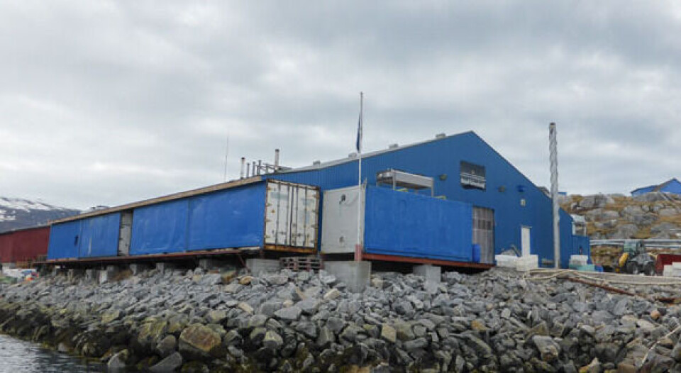 ip Qeqertarsuarmi tunisassiorfia Royal Greenland