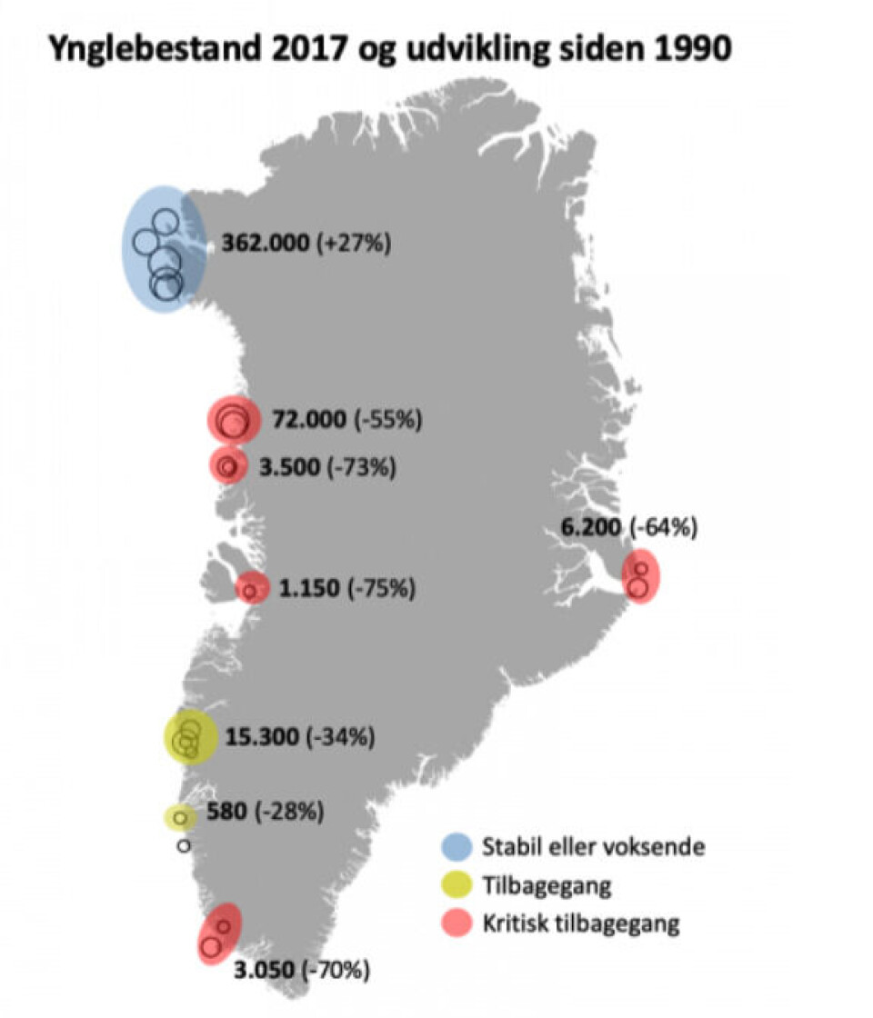 figur fra Grønlands Naturinstitut viser placeringen de eksisterende 20 lomviekolonier i Grønland samt den nuværende bestandsstørrelse (2017, optalte individer) opgjort i forskellige delområder. Bestandsændringer (%) i perioden 1990 – 2017 er opgivet for d