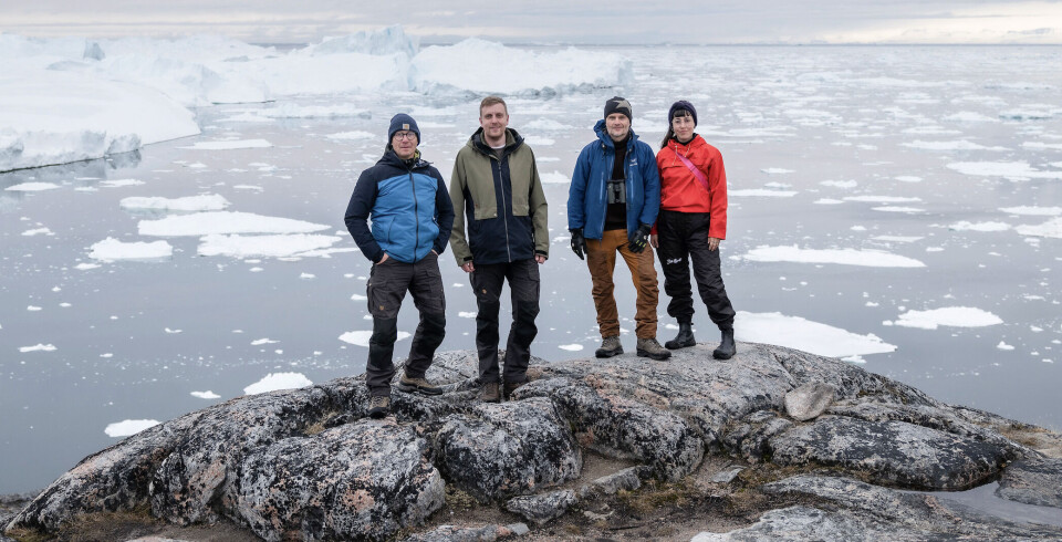 Ammassak-projektets deltagere underfeltarbejde i Ilulissat 2023. Fra højre modvenstre ses projektets leder, Aviaja LyberthHauptmann, professor Anders J. Hansen,PhD-studerende Mads B. Bjørnsen ogfotograf Carsten Egevang.