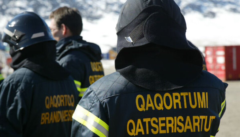 Qaqortumi qatserisartut qimmeq arfininngornermi ikiortariaqarpaat. Assi: Ole G. Jensen