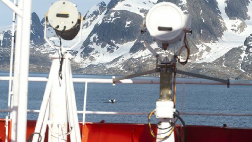Havpattedyrene omkring Grønland er udsat for stadig mere giftigt kviksølv. Foto: Leiff Josefsen