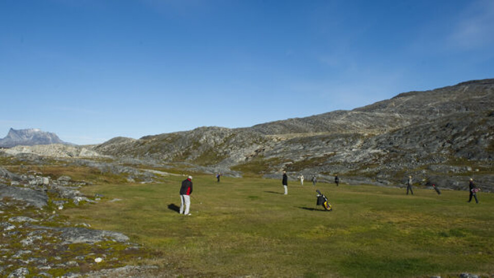 Nuuk Golfklub vandt over turisterne i holdkamp. Foto: Leiff Josefsen