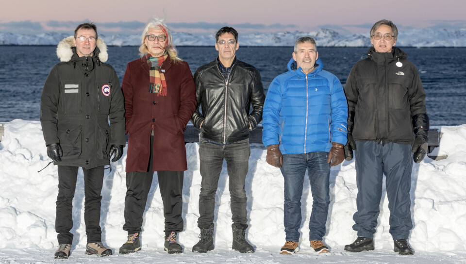 Rockveteraner fra Nuuk, der går på scenen den 31. januar. Fra venstre: Eigil Petersen fra G-60, Hans Peter Kleemann fra Piitsukkut Project, Steffen Lynge fra Simik, Kristian Lynge Petersen fra Sista og Jorsi Sørensen fra G-60.
