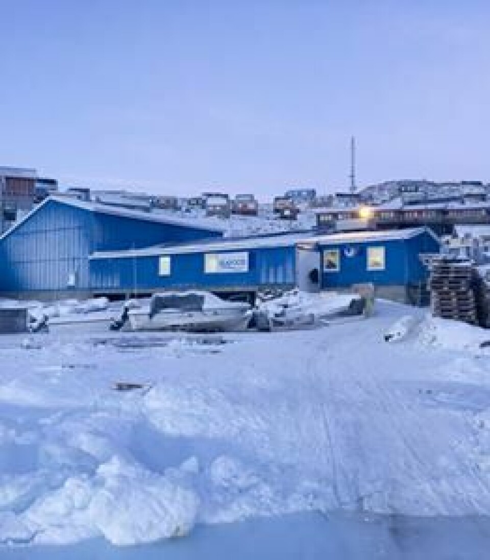 Royal Greenlands lageranlæg i Kullorsuaq