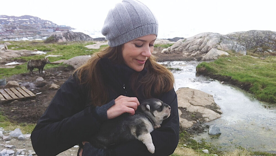 Mary med slædehunden Mary i favnen. Hotel Arctic har lovet at passe godt på den, indtil hun vender tilbage til Ilulissat. Foto: Privat