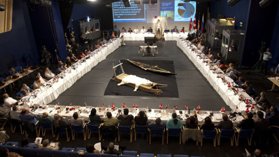 AG fik fat i ICC's regnskab under ICC mødet i sidste uge. Foto: Leiff Josefsen.