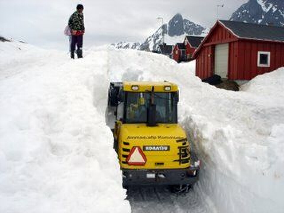 Så meget sne er der i Kuummiut i dag.