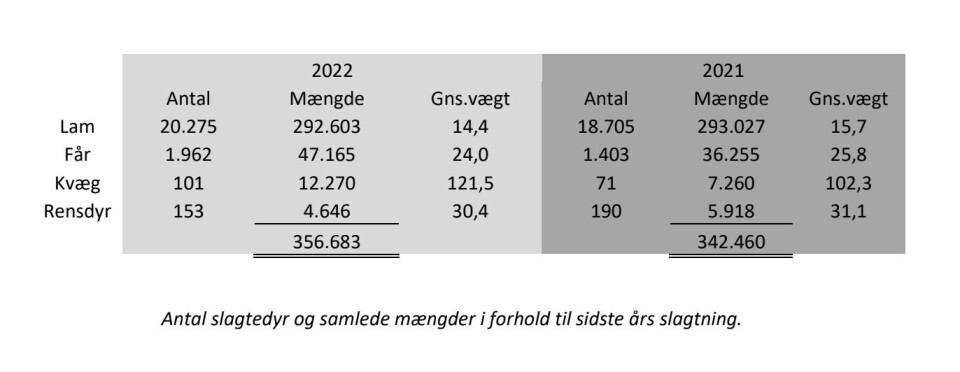 Flere lam slagtet i år – men mindre