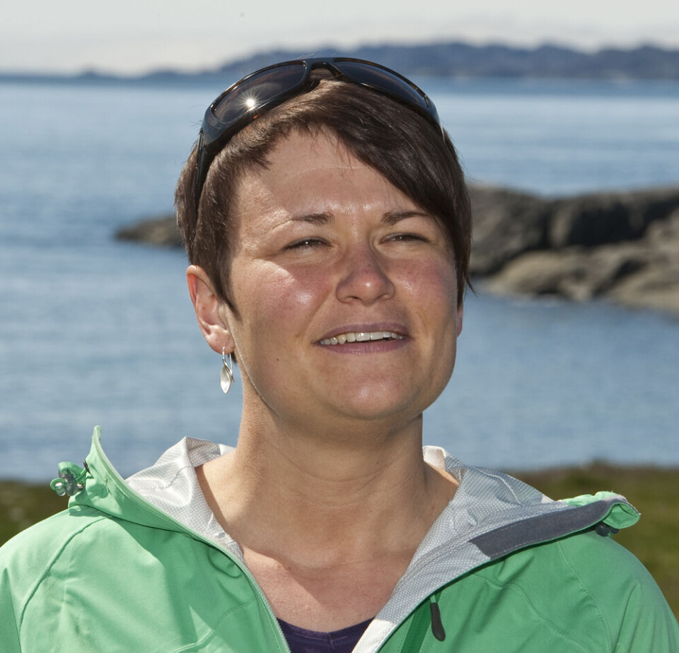 Aviaaja KarlsHøj Poulsen: - Vi skal udnytte mulighederne.
