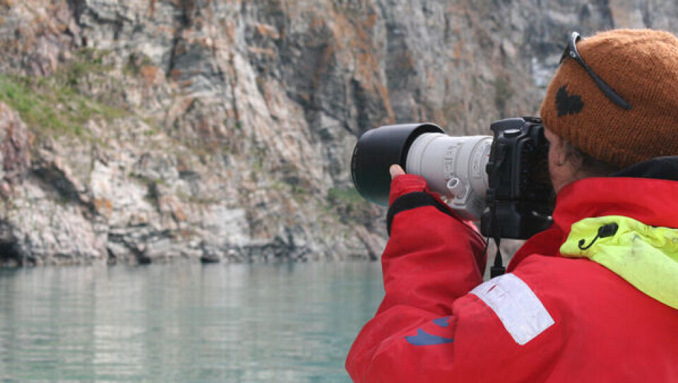 Biolog Aili L. Labansen fotograferer fuglekoloni i Arsuk Fjorden. Foto: Maia Olsen