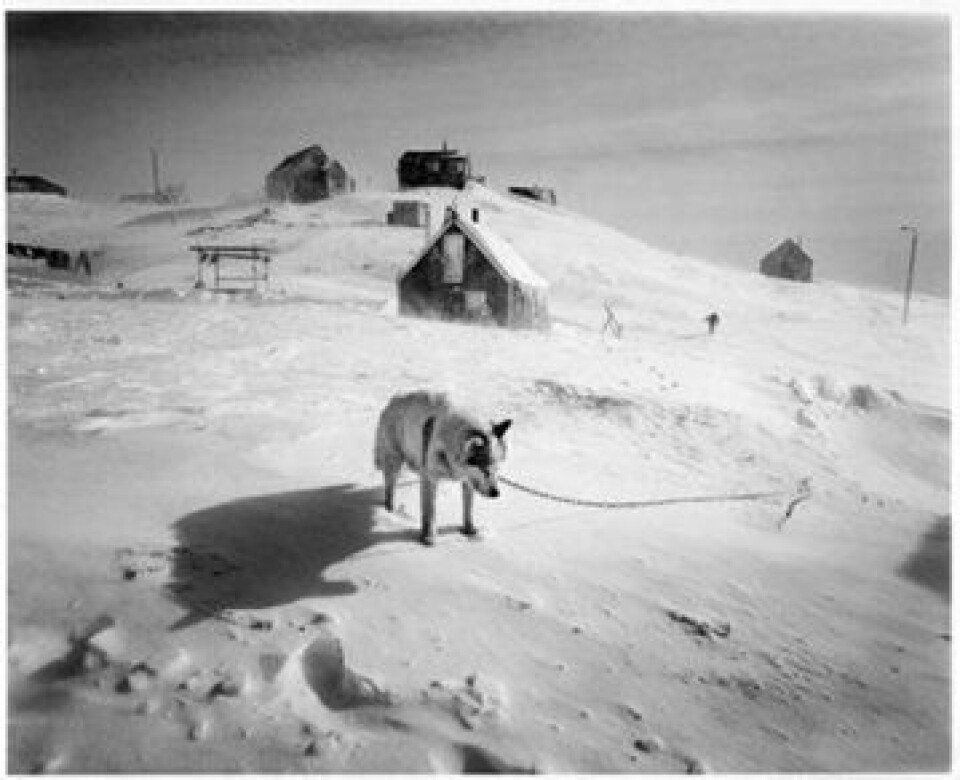 Den kendte islandske fotograf Ragnar Axelsson har taget mange billeder i Grønland og udgivet en bog med sine grønlandske billeder. Det var et af disse billeder, der skulle have været udstillet i Grønlandscenteret. Foto: Ragnar Axelsson