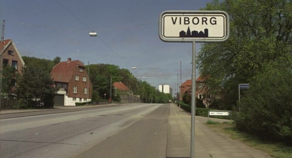 Viborg: Rollemodeller skal hjælpe landsmænd i arbejde