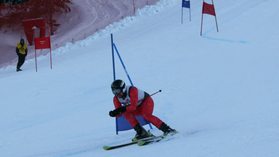 Lars Falksen vandt bronze for dette løb. Foto: NS-84 Qooqu Chemnitz Berthelsen vandt en fin bronzemedalje. Foto: NS-84 Jørgen Petersen vandt sølv i super G. Foto: NS-84 Nukakkuluk Hagæussen på vej ned af storslalombanen i Norge. Foto: NS-84 Malik Holm vandt bronze ved DM med en skistav, et brækket kraveben og en brækket finger. Her er han på vej til medaljen. Foto: NS-84 NS-84Lars Falksen vandt bronze for dette løb. Foto: NS-84 Qooqu Chemnitz Berthelsen vandt en fin bronzemedalje. Foto: NS-84 Jørgen Petersen vandt sølv i super G. Foto: NS-84 Nukakkuluk Hagæussen på vej ned af storslalombanen i Norge. Foto: NS-84 Malik Holm vandt bronze ved DM med en skistav, et brækket kraveben og en brækket finger. Her er han på vej til medaljen. Foto: NS-84 NS-84Lars Falksen vandt bronze for dette løb. Foto: NS-84