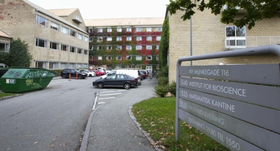 Ilinniartut atanerusalerput