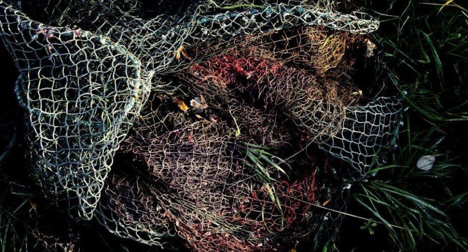 Fonden støtter blandt andet oprydning af fiskegarn ved Paamiut.