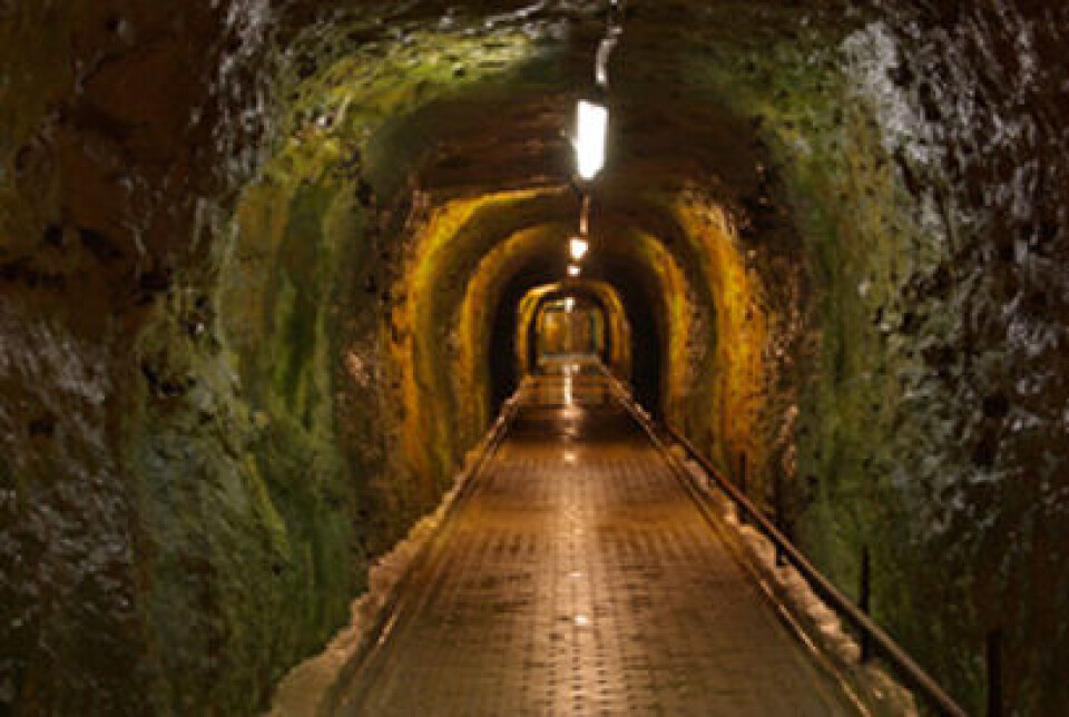 Jerntæppet gennem Europa havde mange sider. 18 meter under jorden ligger Stevnsforts 1,6 km gange og rum, der i dag er koldkrigsmuseum. Foto: Stevnsfortet