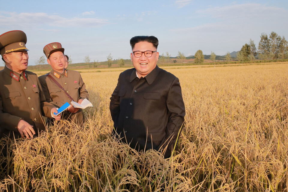Nordkorea optrapper ordkrig med atomtrusler mod USA