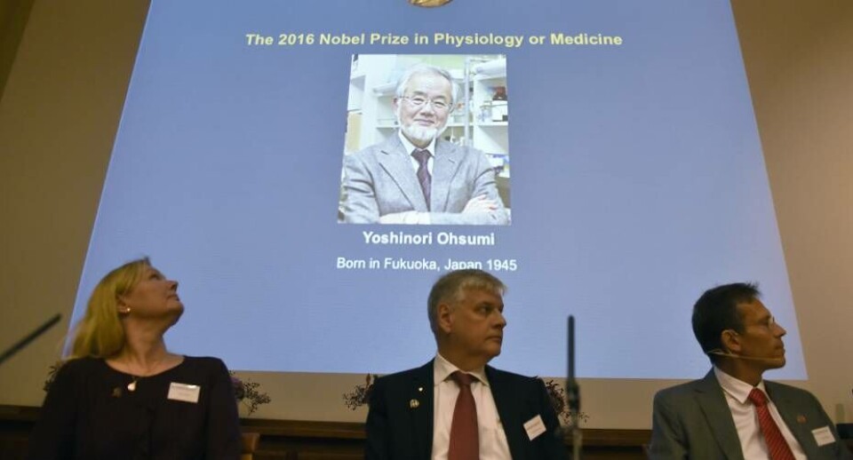 Yoshinori Ohsumi modtager nobelprisen i medicin for opdagelsen af en celleproces, som blandt andet er kendt fra kræft og andre sygdomme
