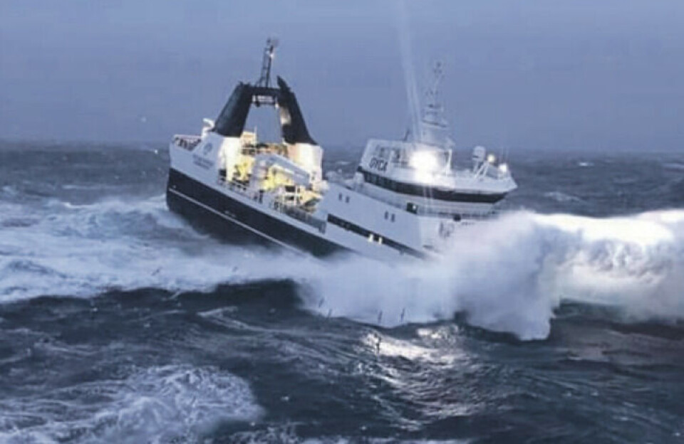 Polar Seafood: Kvote-indgreb vil gå ud over ansatte