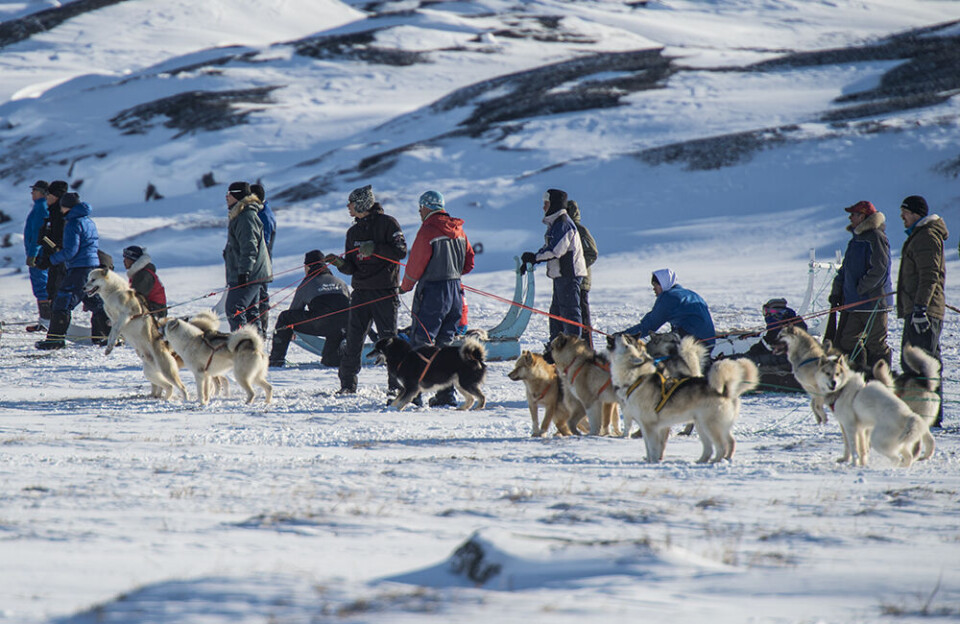 Avannaata Qimussersua 2025 KNI-mit aallakaatinneqassaaq