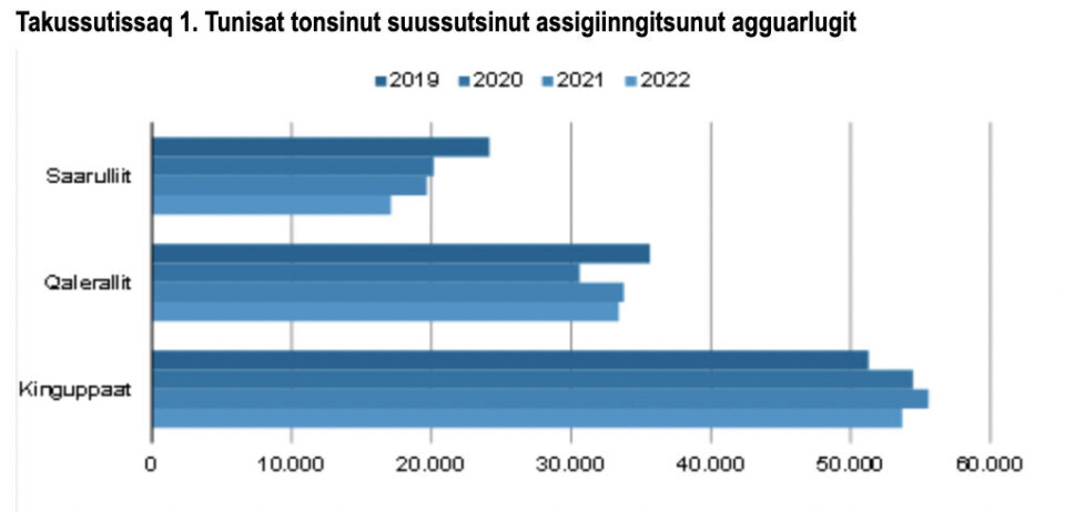 Saarulliit tunisat ikileriarput