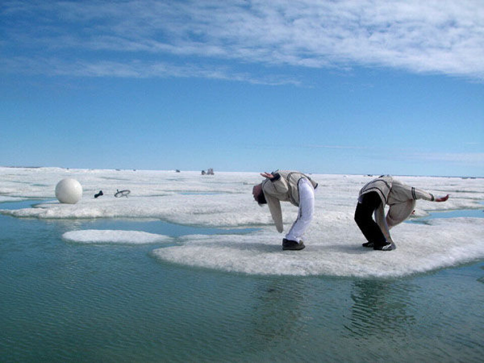 Den står festival og kulturudveksling i højeste potens, når teatergruppen NAIP udveksler performance med Nunavut. Foto: Artcirq