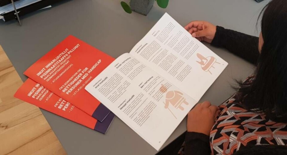 Inuit innarluutillit pisinnaatitaaffitik ilisimanerussavaat