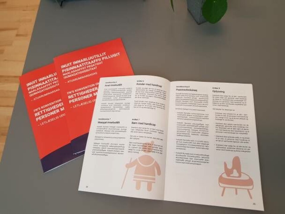 Inuit innarluutillit pisinnaatitaaffitik ilisimanerussavaat